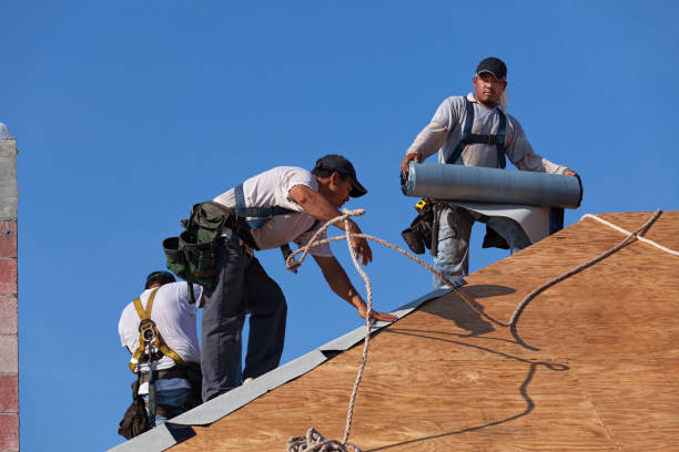 Best Gutter Installation and Roofing  in Mount Olive, AL